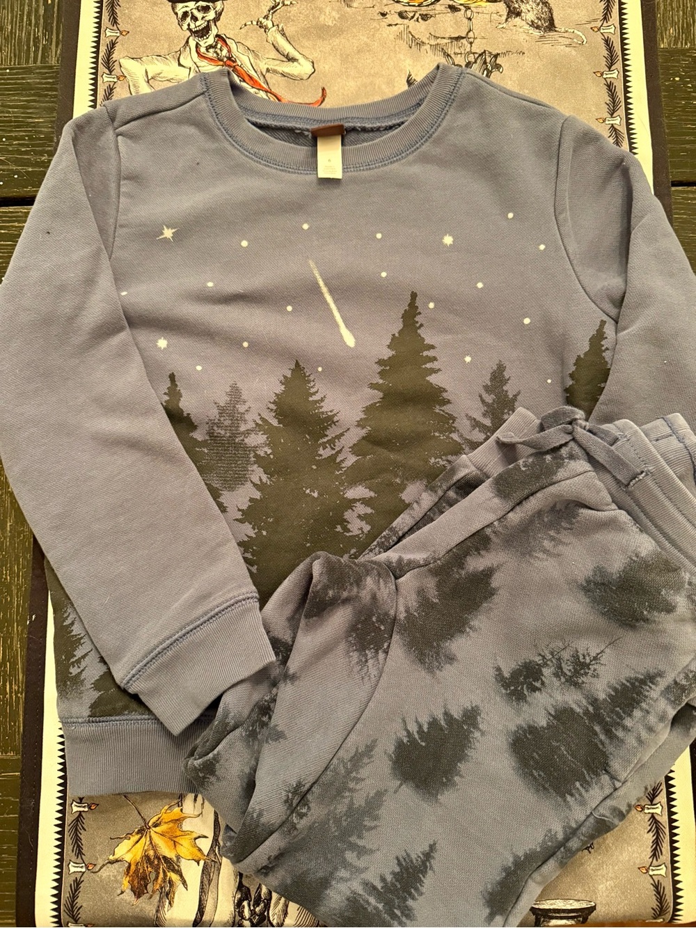 Tea Collection Sweatsuit Set, youth size 6
